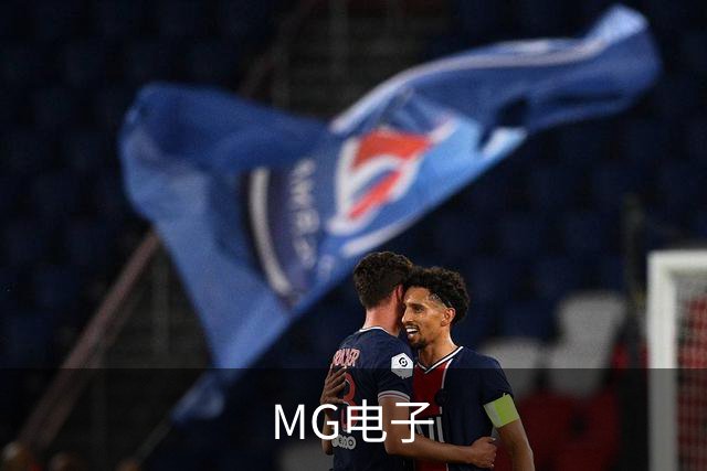 MG电子公司简介